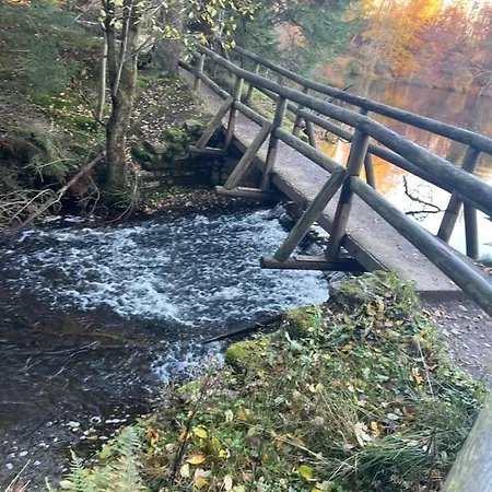 Moderne Und Zentral Gelegene In Mit Rodelpiste Und Start Langlauf In 300 Metern Entfernung *