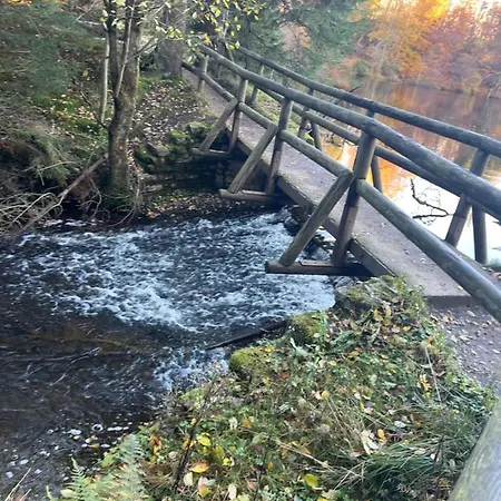 Moderne Und Zentral Gelegene In Mit Rodelpiste Und Start Langlauf In 300 Metern Entfernung *