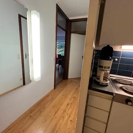 Apartment Moderne Und Zentral Gelegene In Mit Rodelpiste Und Start Langlauf In 300 Metern Entfernung Braunlage
