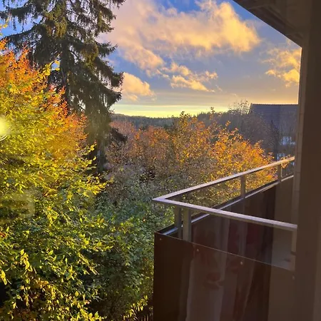 Moderne Und Zentral Gelegene In Mit Rodelpiste Und Start Langlauf In 300 Metern Entfernung Appartement Braunlage