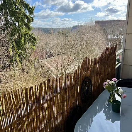 Moderne Und Zentral Gelegene In Mit Rodelpiste Und Start Langlauf In 300 Metern Entfernung Braunlage