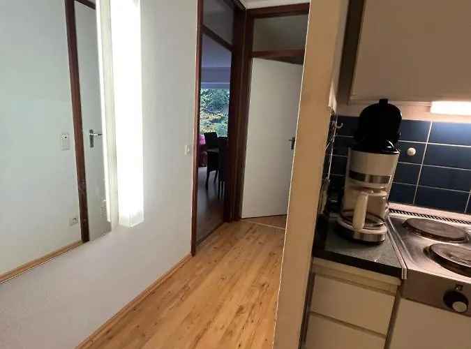Appartement Moderne Und Zentral Gelegene In Mit Rodelpiste Und Start Langlauf In 300 Metern Entfernung Braunlage