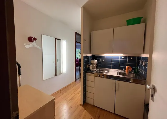 Moderne Und Zentral Gelegene In Mit Rodelpiste Und Start Langlauf In 300 Metern Entfernung Appartement Braunlage