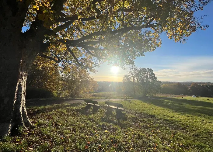 Appartement Moderne Und Zentral Gelegene In Mit Rodelpiste Und Start Langlauf In 300 Metern Entfernung Braunlage