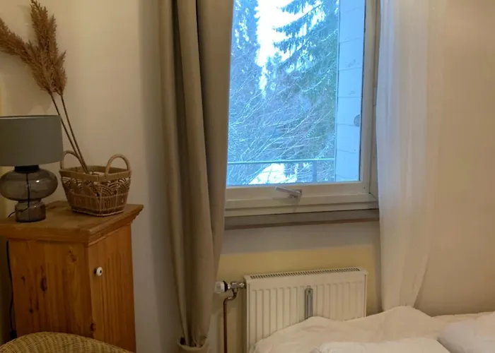 Moderne Und Zentral Gelegene In Mit Rodelpiste Und Start Langlauf In 300 Metern Entfernung